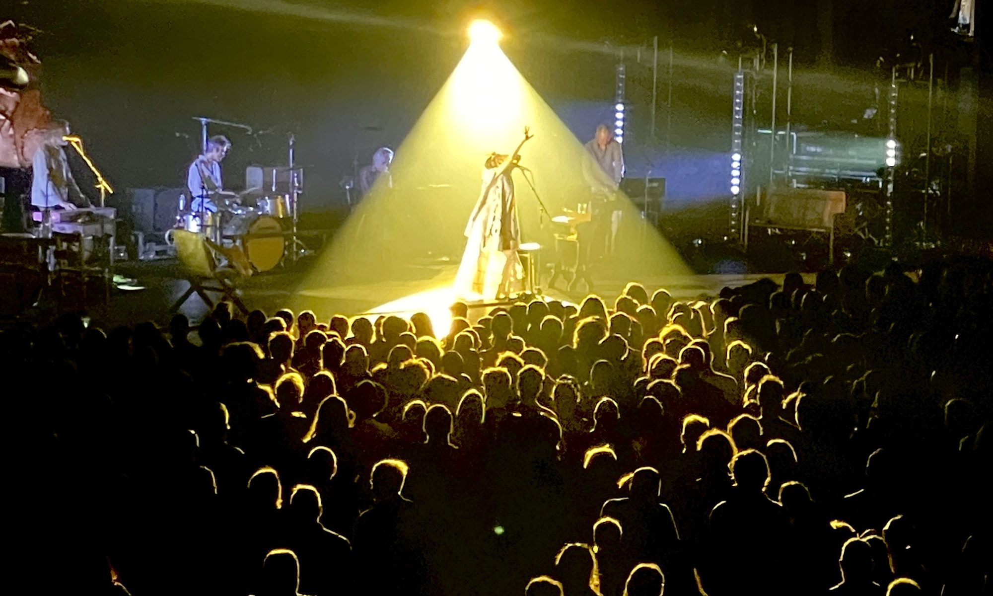 PJ Harvey bathed in spotlight with fans in the foreground at Plenary MCEC Melbounre