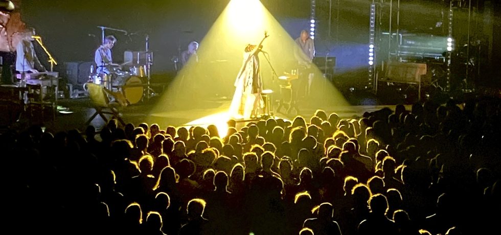 PJ Harvey bathed in spotlight with fans in the foreground at Plenary MCEC Melbounre