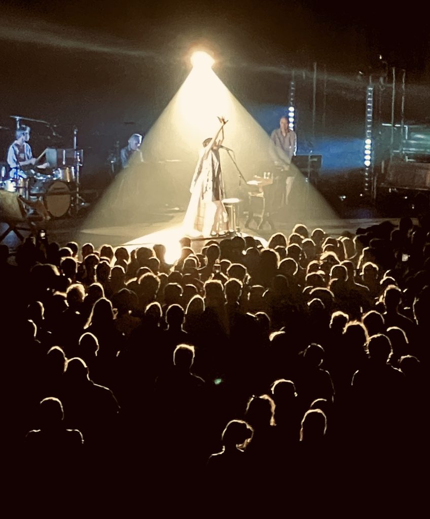 PJ Harvey bathed in spotlight with fans in the foreground at Plenary MCEC Melbounre