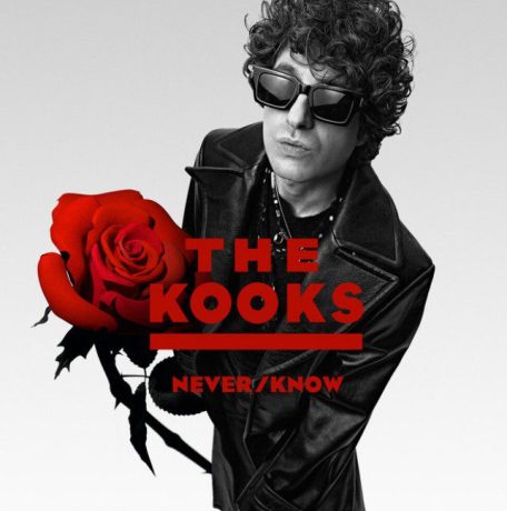 The Kooks Never/Know Album Cover Art