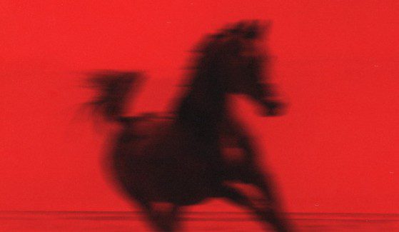 Cover Art for Red Rum Club BUCK - Black horse on red background