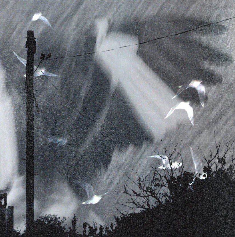 blurred black and white image of a sky with an angel and birds. Single cover for labyrinthine oceans clipped wings