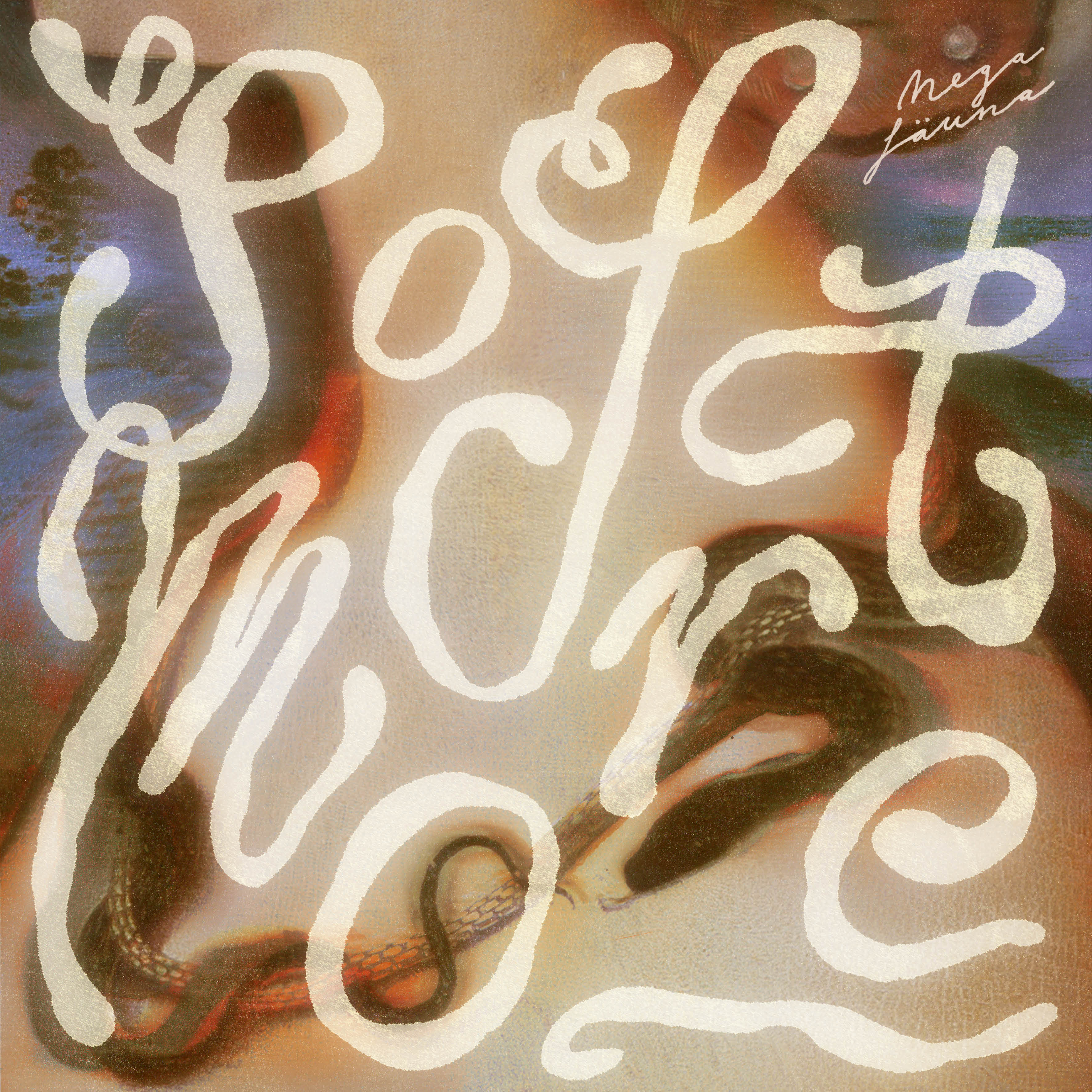 Softmore Album Cover by Mega Fauna