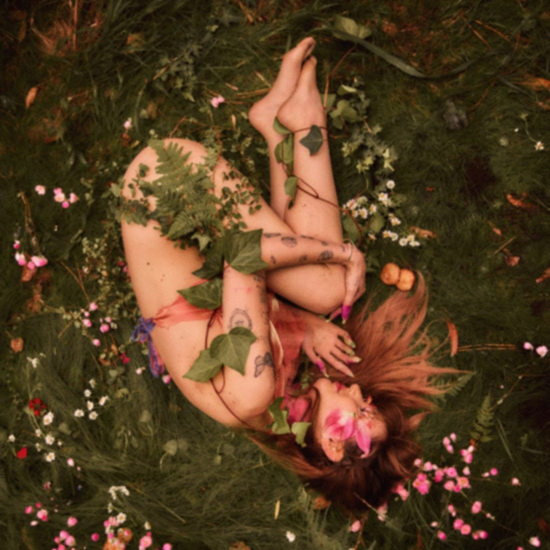 Peach PRC curled up in a ball partially covered with leaves. album cover for Porcelain