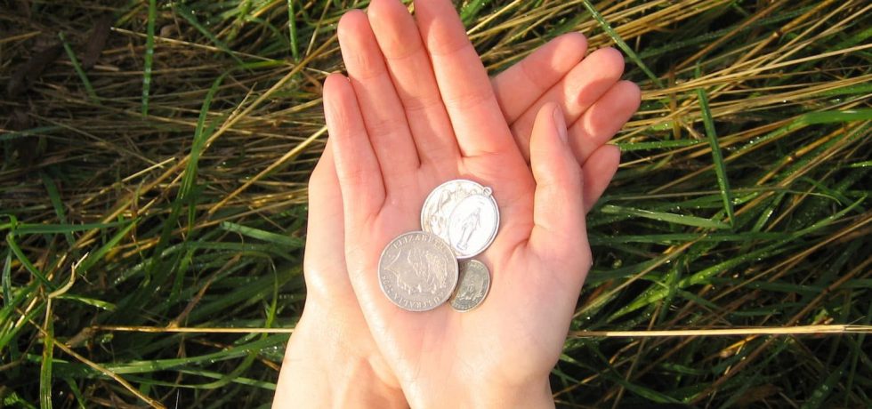 Image of two hands palm up holding some silver coins. Single Cover for Daine's Wishing Well