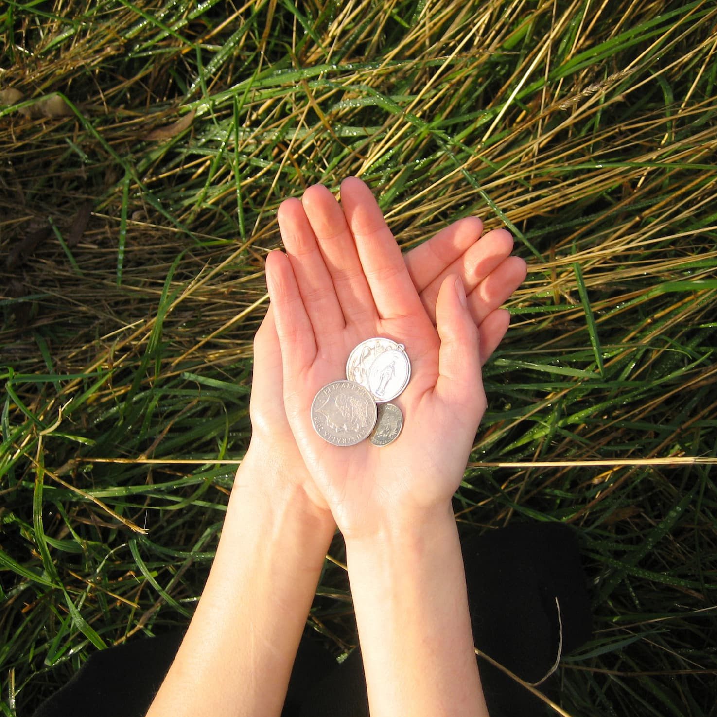 Image of two hands palm up holding some silver coins. Single Cover for Daine's Wishing Well